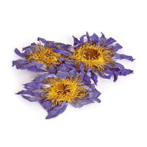 Whole Blue Lotus Flower